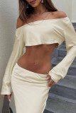 Grey Casual Solid Basic Oblique Collar Long Sleeve Two Pieces