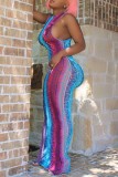Multicolor Sexy Casual Print Basic O Neck Long Dress Dresses