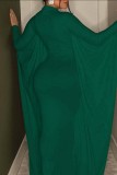 Green Casual Solid Patchwork Half A Turtleneck Irregular Dress Dresses