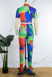 Multicolor Casual Print Patchwork Turndown Collar Short Sleeve Two Pieces