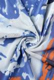 Blue Casual Print Basic O Neck Long Sleeve Dresses