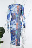 Blue Casual Print Basic O Neck Long Sleeve Dresses