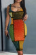 Orange Casual Print Basic U Neck Vest Dress Dresses
