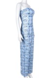 Multicolor Sexy Casual Print Backless Strapless Long Dress Dresses
