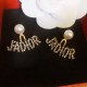 Gold Celebrities Letter Rhinestone Earrings