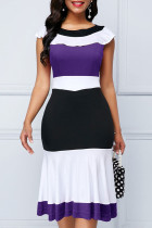 Purple Elegant Color Lump Flounce Contrast Zipper O Neck Wrapped Skirt Dresses