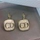 White Street Simplicity Letter Patchwork Earrings