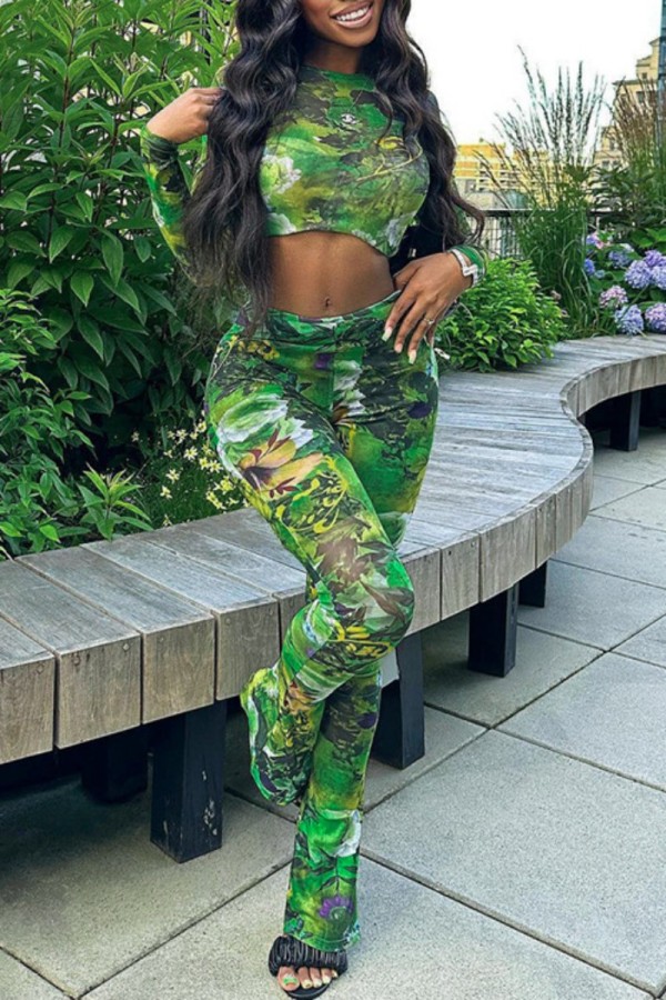 Green Casual Print Basic O Neck Long Sleeve Two Pieces