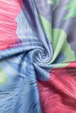 Colour Casual Print Basic O Neck Long Sleeve Dresses
