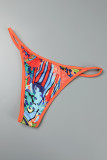Multicolor Sexy Print Hollowed Out Patchwork Swimsuit Three Piece Set (Without Paddings)