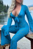 Blue Casual Solid See-through V Neck Skinny Jumpsuits