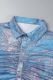Blue Street Print Patchwork Buckle Turndown Collar Long Sleeve Two Pieces