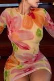 Multicolor Casual Print Basic O Neck Long Sleeve Dresses