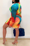 Multicolor Street Print Patchwork Letter Zipper Collar One Step Skirt Dresses