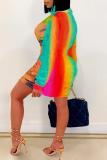 Multicolor Street Print Patchwork Letter Zipper Collar One Step Skirt Dresses