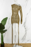 Brown Sexy Solid See-through Asymmetrical Long Sleeve Dresses