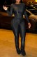 Black Casual Solid Basic O Neck Long Sleeve Two Pieces