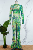 Green Casual Print Basic O Neck Long Sleeve Two Pieces
