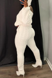 Light Blue Casual Solid Backless Hooded Collar Long Sleeve Two Pieces