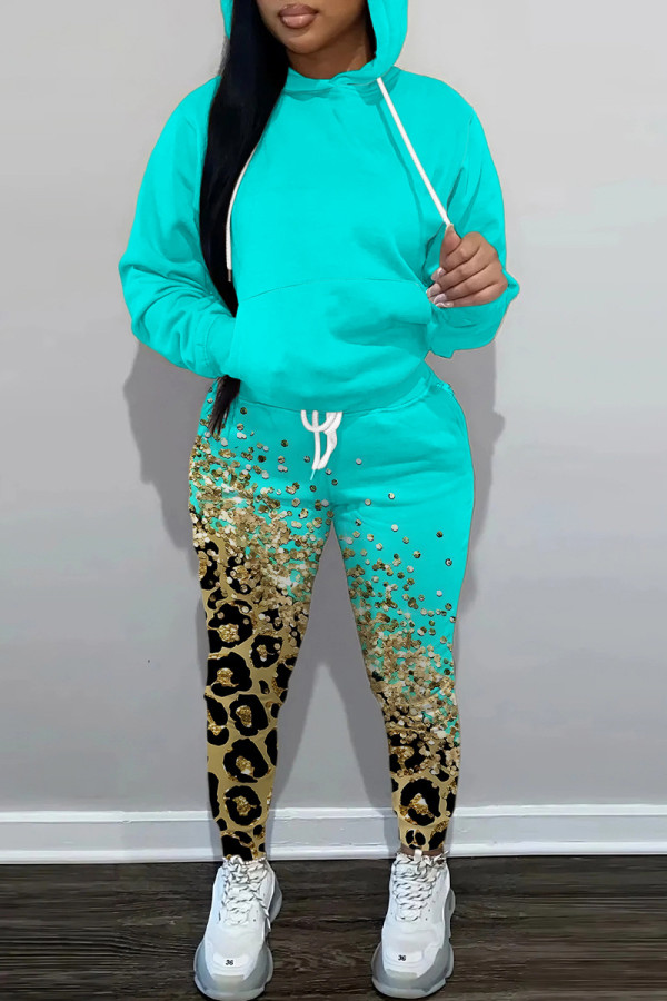 Cyan Casual Print Basic Hooded Collar Long Sleeve Two Pieces
