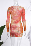 Multicolor Casual Print Basic O Neck Long Sleeve Dresses