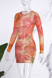 Multicolor Casual Print Basic O Neck Long Sleeve Dresses
