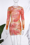 Multicolor Casual Print Basic O Neck Long Sleeve Dresses