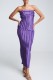 Dark Purple Sexy Casual Solid Backless Strapless Sleeveless Two Pieces
