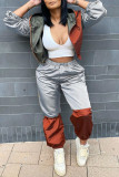 Silver Casual Solid Patchwork Zipper Hooded Collar Long Sleeve Two Pieces