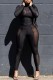 Black Casual Solid Patchwork See-through Half A Turtleneck Long Sleeve Two Pieces