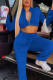 Royal Blue Casual Sportswear Solid Patchwork Draw String Zipper Zipper Collar Long Sleeve Two Pieces