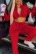 Red Casual Sportswear Solid Patchwork Draw String Zipper Zipper Collar Long Sleeve Two Pieces
