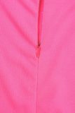 Rose Red Daily Party Elegant Simplicity Patchwork Feathers Solid Color O Neck Sleeveless Dress Dresses