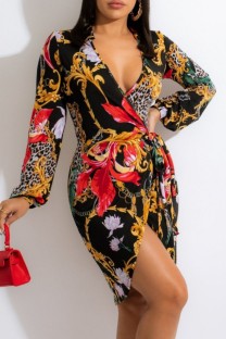 Multicolor Casual Print Frenulum V Neck Long Sleeve Dresses