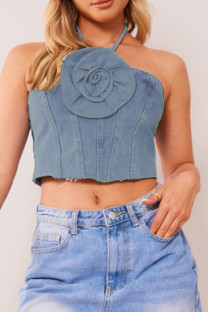 Blue Sexy Casual Solid Frenulum Backless Halter Tops
