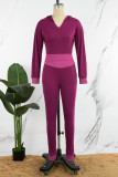 Purple Casual Solid Basic Hooded Collar Long Sleeve Two Pieces