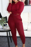 Purple Casual Solid Basic Hooded Collar Long Sleeve Two Pieces