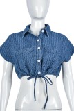 Blue Casual Solid Frenulum Turndown Collar Tops