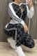 White Casual Print Patchwork Letter Zipper Collar Long Sleeve Two Pieces