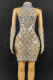 Silver Sexy Solid Patchwork See-through Hot Drill Turtleneck Pencil Skirt Dresses(Including The Sleeve)