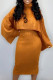 Orange Elegant Solid Patchwork Turtleneck Long Sleeve Two Pieces