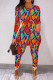 Tangerine Red Casual Print Slit O Neck Long Sleeve Two Pieces