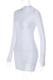 White Casual Solid Basic O Neck Long Sleeve Dresses