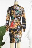 Multicolor Casual Print Frenulum V Neck Long Sleeve Dresses