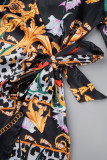 Multicolor Casual Print Frenulum V Neck Long Sleeve Dresses