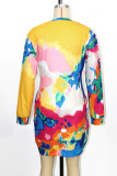 Colour Casual Print Basic O Neck Long Sleeve Dresses