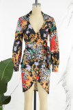 Multicolor Casual Print Frenulum V Neck Long Sleeve Dresses