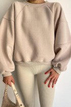 Camel Casual Solid Basic O Neck Tops
