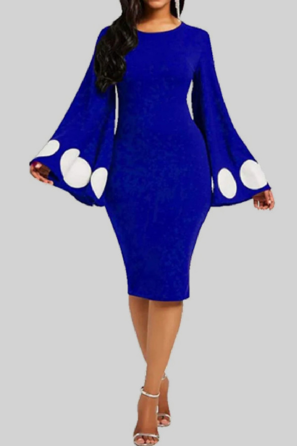 Blue Casual Dot Print Basic O Neck Long Sleeve Dresses