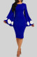 Blue Casual Dot Print Basic O Neck Long Sleeve Dresses